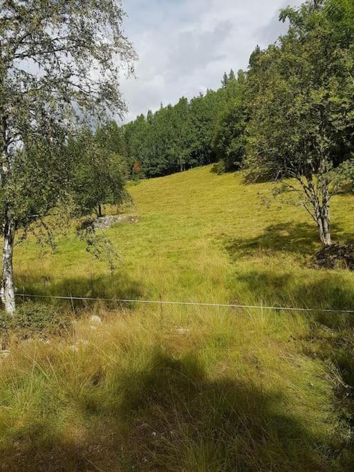 River Run Ranch - Telemark Drangedal Exterior foto